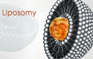 Liposomy